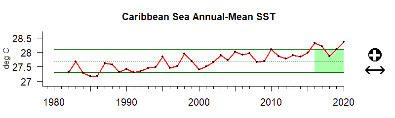 graph of sea surface temperature for the Caribbean region from 1980-2020