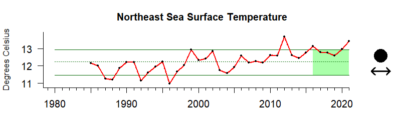 graph of annual mean sea surface temperature for the Northeast US region from 1980-2020