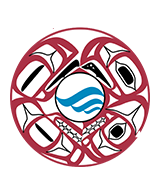 The NANOOS Logo