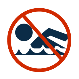 icon of beaches closed