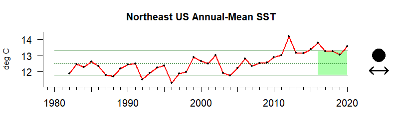 graph of annual mean sea surface temperature for the Northeast US region from 1980-2020